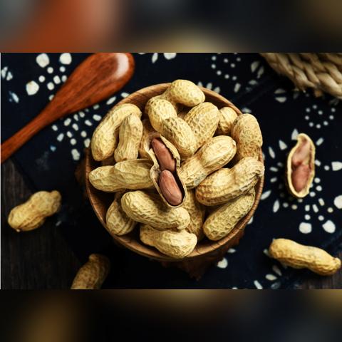 河北品牌加盟商热门公司一览