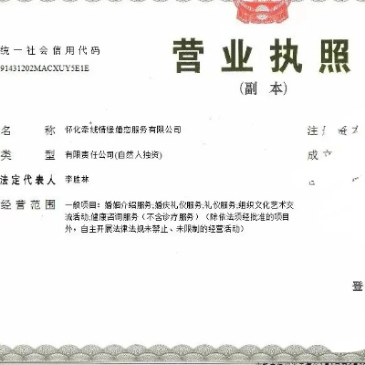 怀化婚介加盟店品牌推荐及案例分析