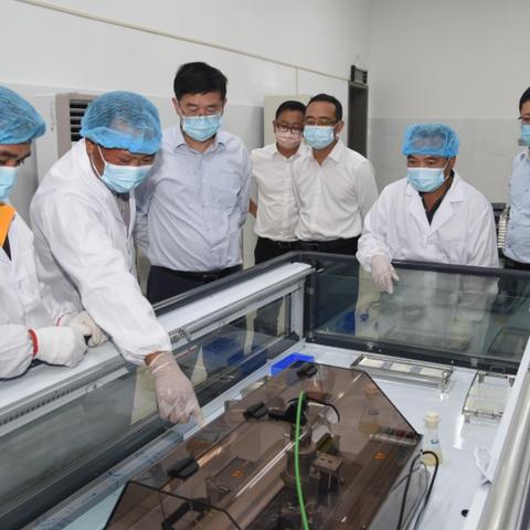 乡村振兴战略的实践路径与案例解析，从输血到造血的乡村蜕变