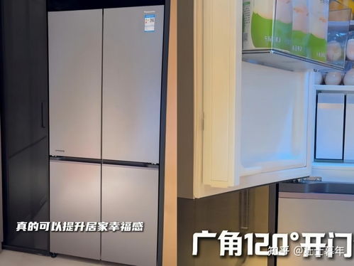 小冰箱静音选购指南，哪款品牌最值得入手？