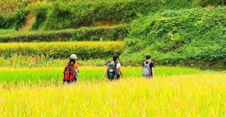从田间到游客天堂，解锁乡村旅游的三大黄金法则