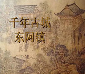 龙驹陶瓷，从传统工艺到现代品牌的崛起之路