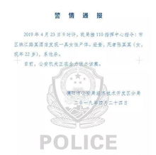 公安局查酒店开房记录，流程、规定与案例解析