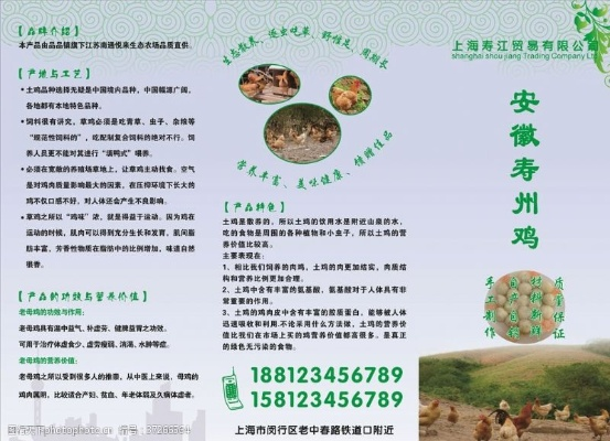 寿县养鸡加盟店品牌推荐