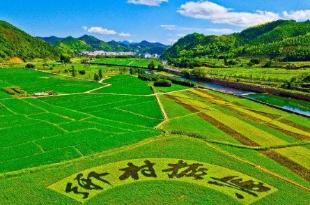 乡村振兴的经济密码，产业升级+就业激活=共同富裕新路径