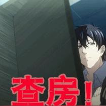 查房网查开房记录表详解，操作指南与案例分析