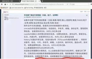 宾馆入住记录查询全解析，合法合规与隐私保护的平衡之道
