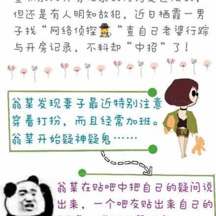揭秘，如何轻松查询开房记录网站
