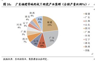 海恩迈陶瓷是几线品牌？深度解析市场地位与选购指南