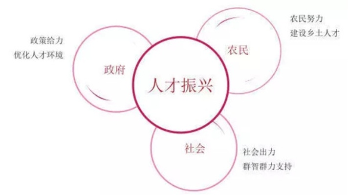 乡村振兴人才困局，破局之道与实战经验
