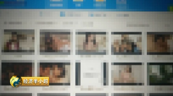 揭秘网络色情网站调查报告
