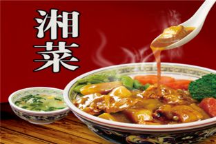 品牌湘菜加盟排行前十揭秘
