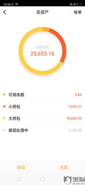 花呗提现攻略，如何高效安全地获取资金？