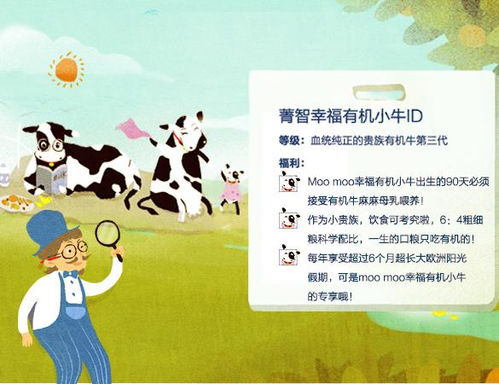 鸡西早教加盟指南，选择有口碑的品牌，开启儿童早期教育新篇章