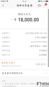 分期乐消费额度兑现与临时额度使用指南