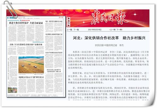 供销社助力乡村振兴的三大实战路径
