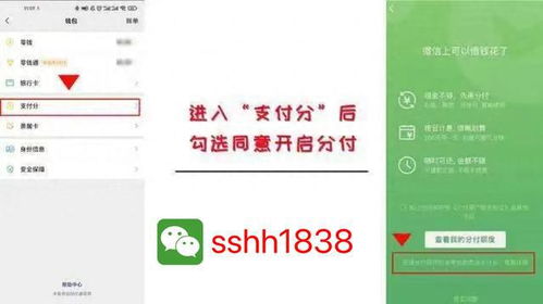 微信分付额度提现攻略，大额度图片与案例解析