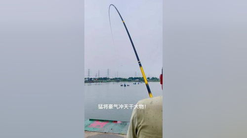 亲子时光新宠，揭秘精品钓鱼竿玩具品牌如何玩转兴趣培养与品牌故事