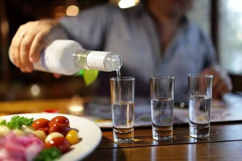 北方人的酒桌江湖，揭秘白酒消费的南北差异与品牌偏好