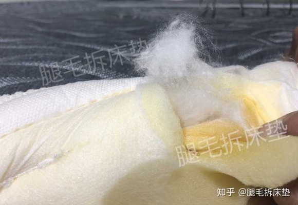 苏州鸭绒被两万天价之谜，奢侈还是智商税？