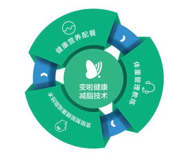 托普仪器减肥零食，科学减脂的零食化解决方案