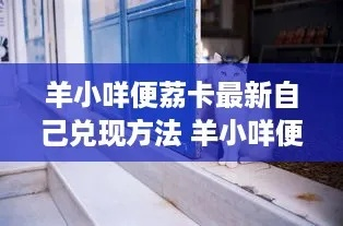 羊小咩便荔卡额度取现全攻略，操作、注意事项与案例解析