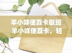 羊小咩便荔卡额度取现全攻略，操作、注意事项与案例解析