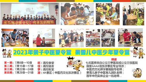 探索中医药文化之旅