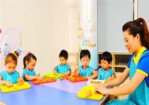 阿拉善早教加盟指南