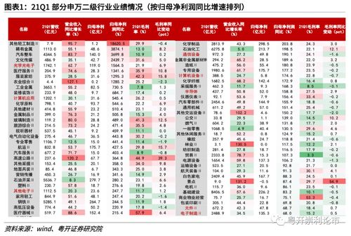 合资加盟品牌策略，全面解析合资加盟的多个维度