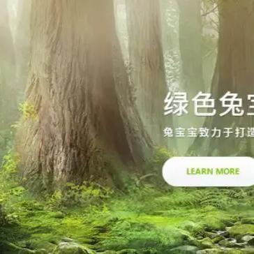 国内四大板材品牌全解析，选对材料省心十年