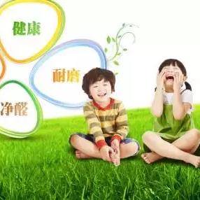 国内四大板材品牌全解析，选对材料省心十年