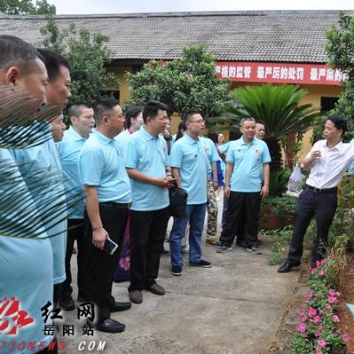 兆邦陶瓷是几线品牌？二线中的黑马还是小众选择？