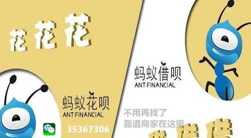 羊小咩便荔卡现金礼包提现攻略，一篇文章带你搞懂所有细节