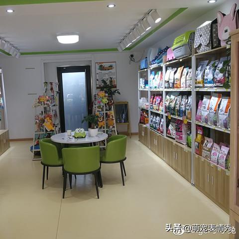 连锁宠物店加盟热门品牌大盘点
