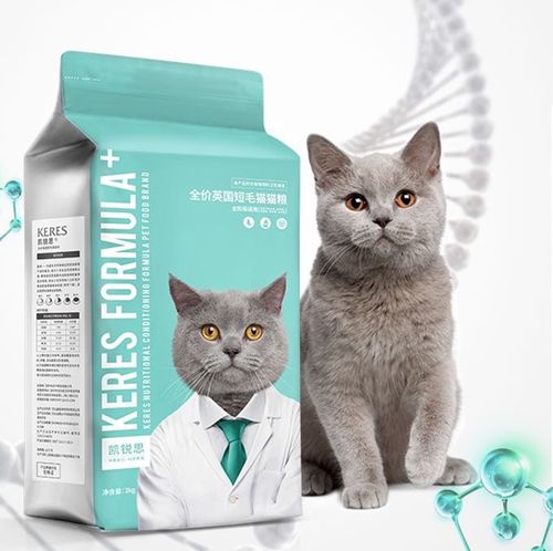 天津高蛋白猫零食品牌全解析，健康美味如何打动猫咪主子？