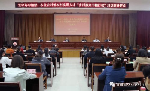培训赋能乡村带头人，激活乡村振兴领头雁的三大实战策略