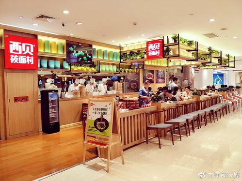 邯郸比萨加盟店品牌推荐及案例分析