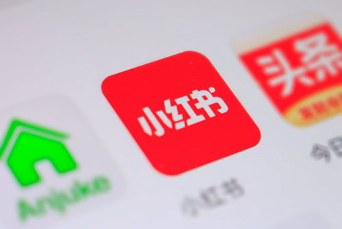 轻松解锁抖音月付额度，小技巧助你资金周转