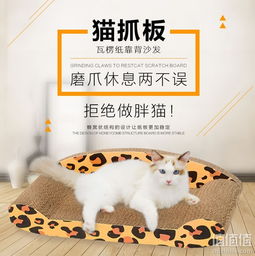 猫主子最爱的玩具大揭秘！全网最全猫用玩具品牌指南
