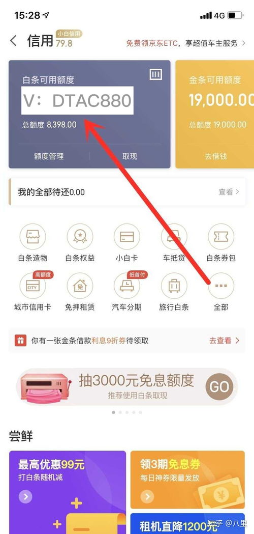 白条购物额度套出来秒到—深度解析与操作指南