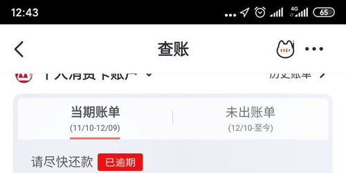 白条购物额度套出来秒到—深度解析与操作指南