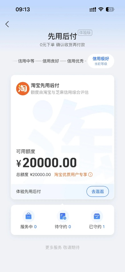 如何查看淘宝先用后付总额度