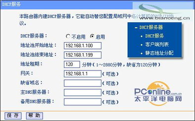 如何查看DHCP服务器的物理地址？手把手教你搞定网络配置