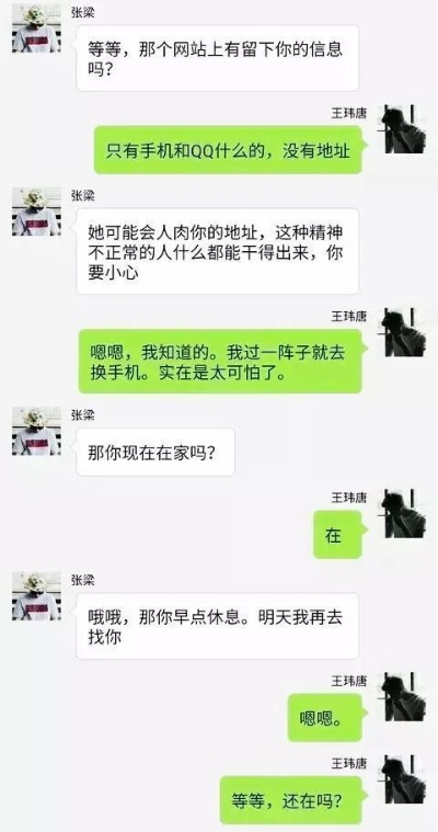 揭秘聊天记录安全，常见盗取手段与防范指南（附案例解析）