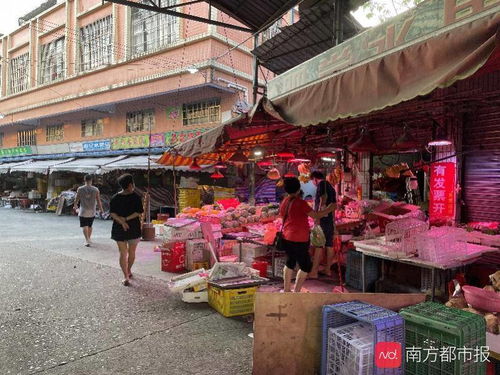 桃多多桃享卡额度调整应对策略