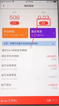 桃多多额度提现攻略，5万额度如何高效管理