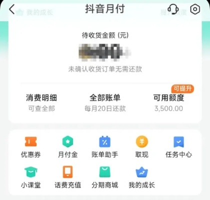 如何高效利用抖音月付额度？