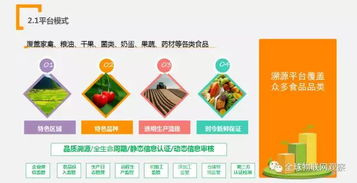 儿童零食品牌供应链全解析，从田间到餐桌的童心守护