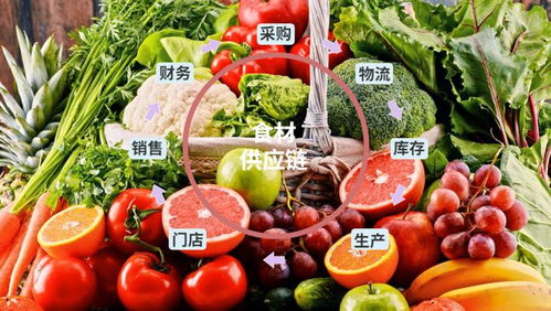 儿童零食品牌供应链全解析，从田间到餐桌的童心守护
